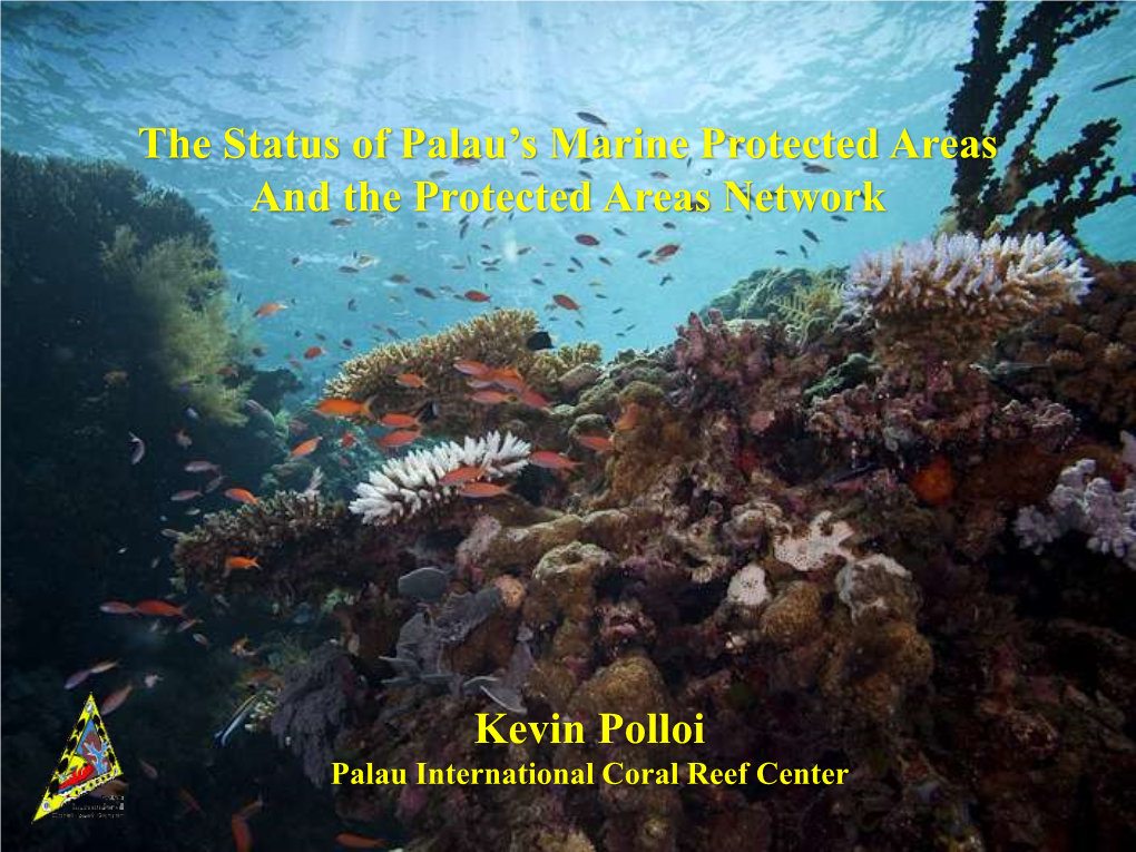 The Status of Palau's Marine Protected Areas and the Protected