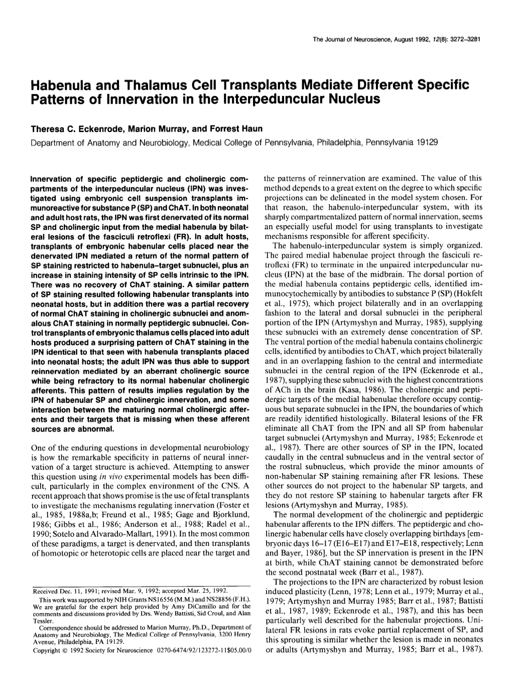 Habenula and Thalamus Cell Transplants Mediate Different Specific Patterns of Innervation in the Lnterpeduncular Nucleus