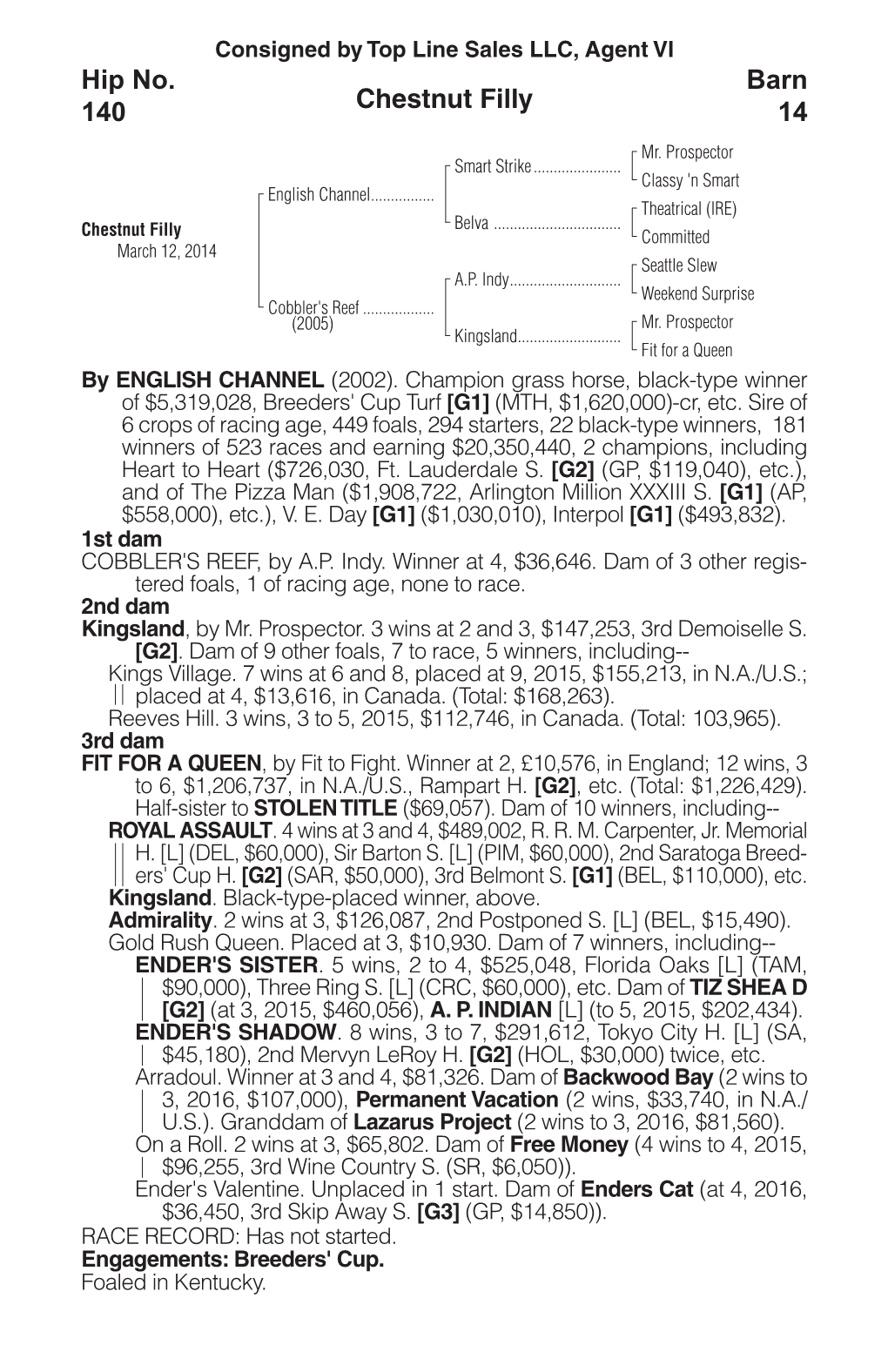 Chestnut Filly Barn 14 Hip No