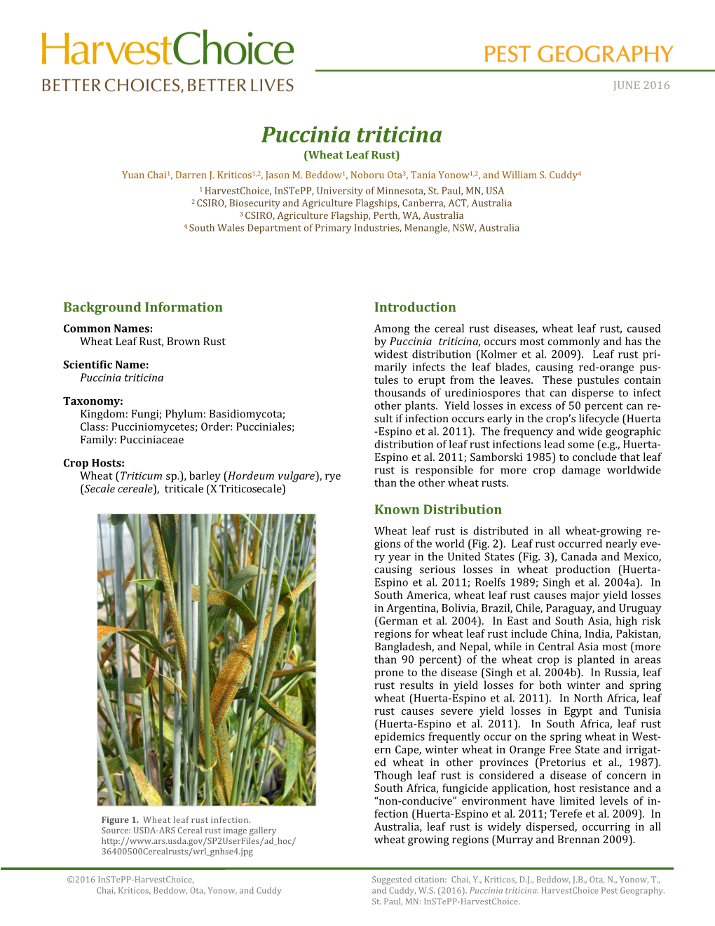 Puccinia Triticina (Wheat Leaf Rust) Yuan Chai1, Darren J