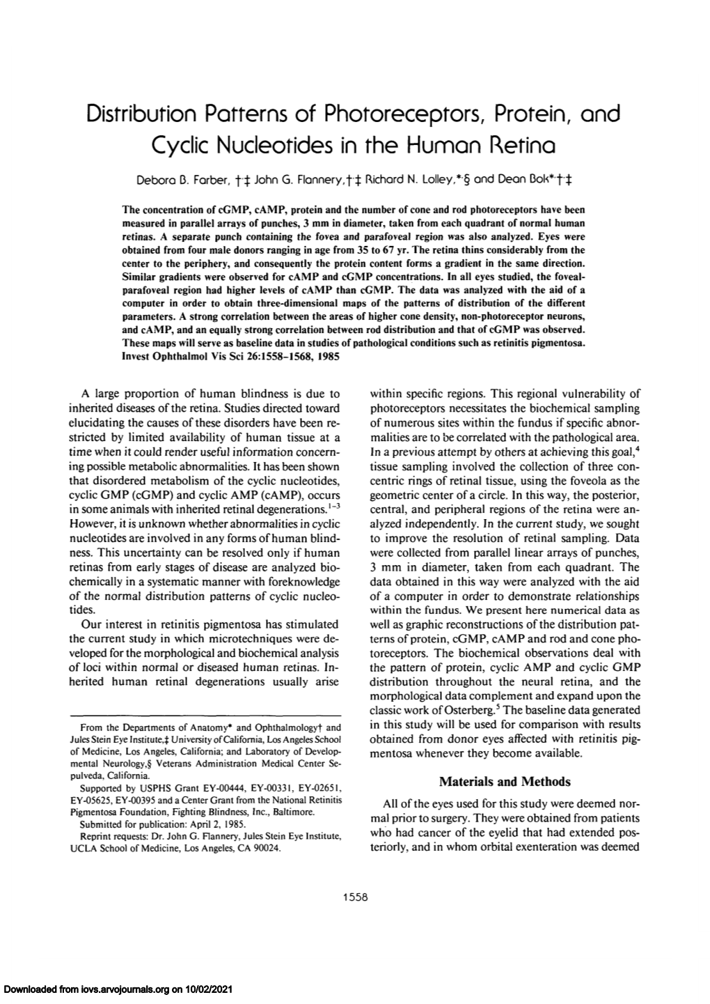 Distribution Patterns of Photoreceptors, Protein, and Cyclic Nucleotides in the Human Retina