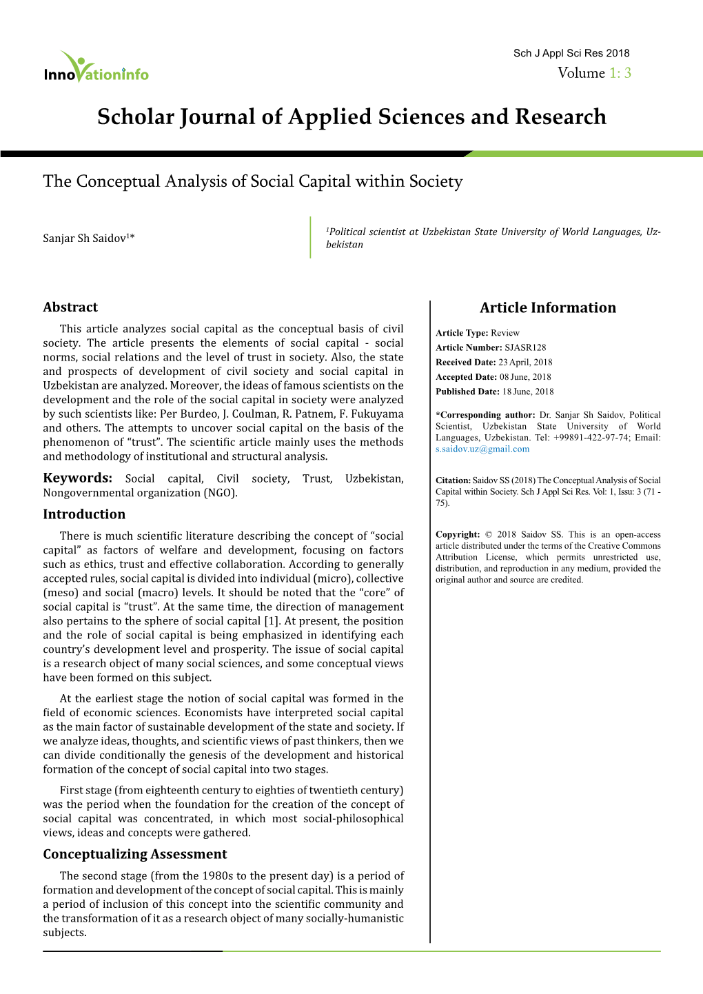 The Conceptual Analysis of Social Capital Within Society