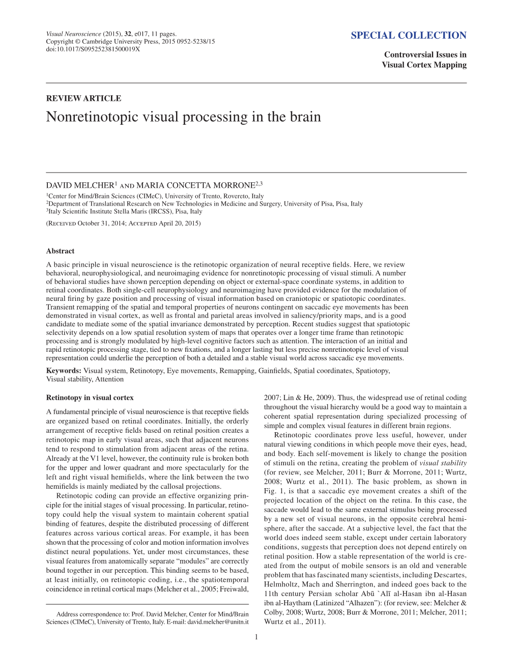 Nonretinotopic Visual Processing in the Brain