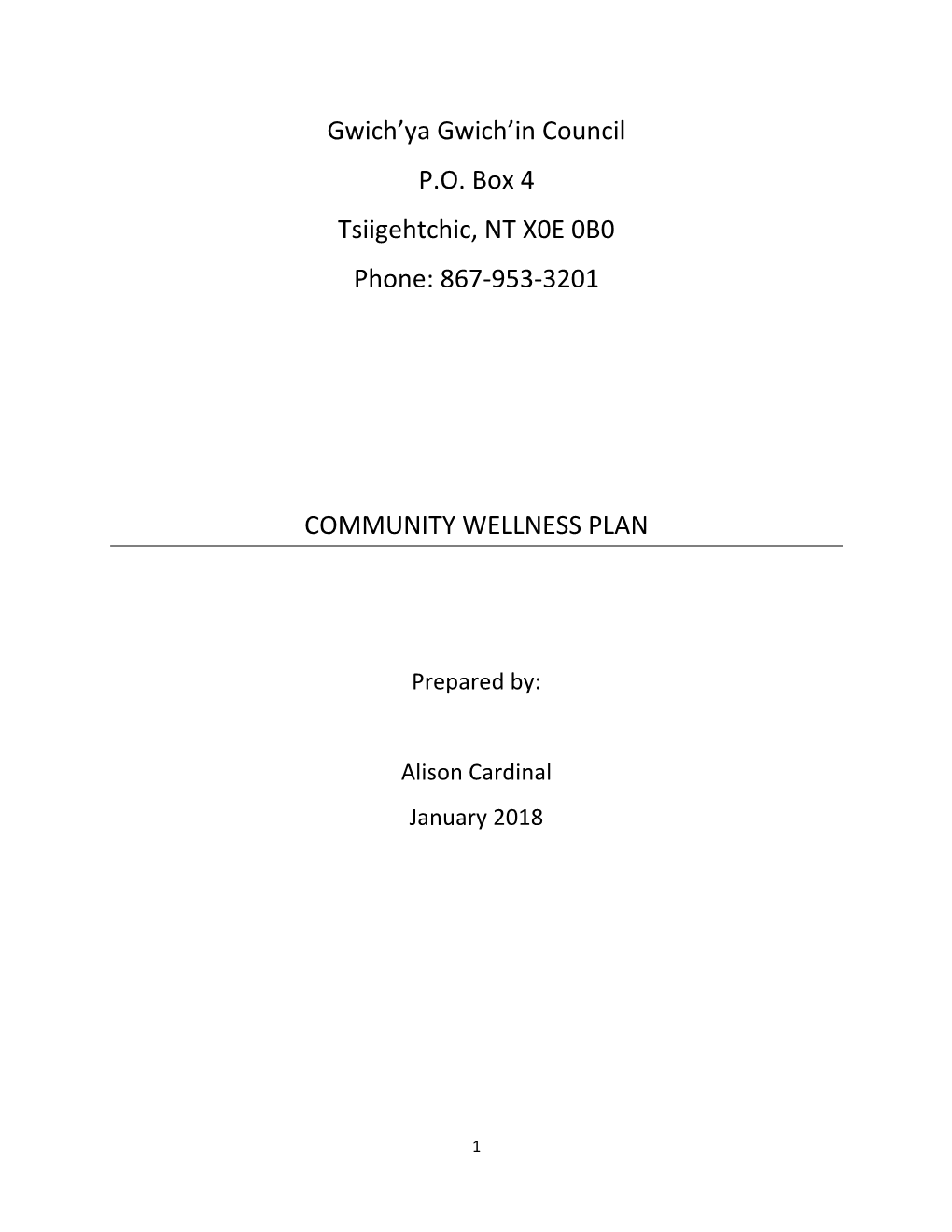 Tsiigehtchic Community Wellness Plan