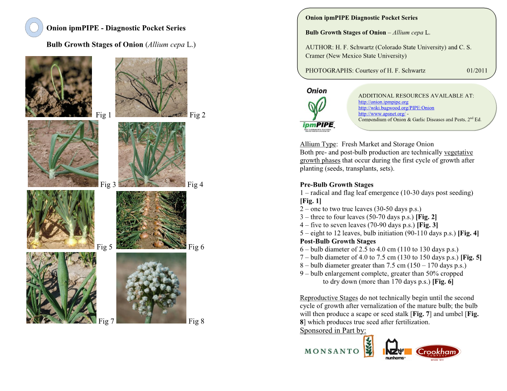 Diagnostic Pocket Series Bulb Growth Stages of Onion (Allium Cepa