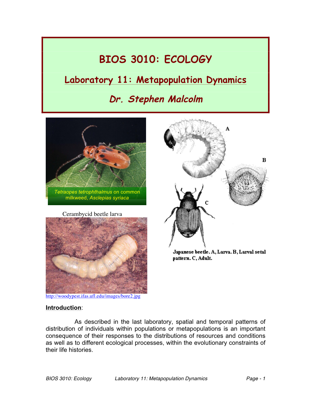 Metapopulation Dynamics