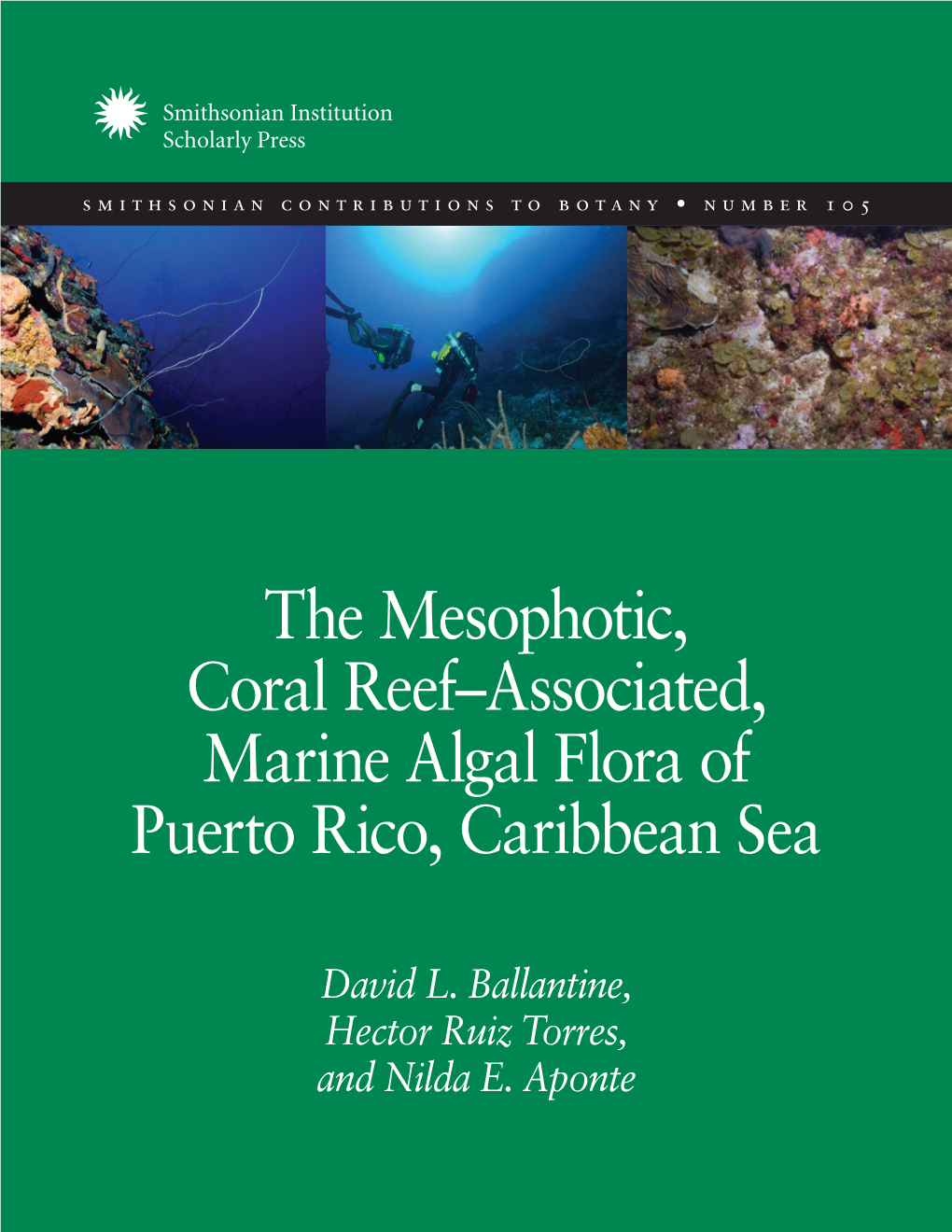 The Mesophotic, Coral Reef–Associated, Marine Algal Flora of Puerto Rico, Caribbean Sea