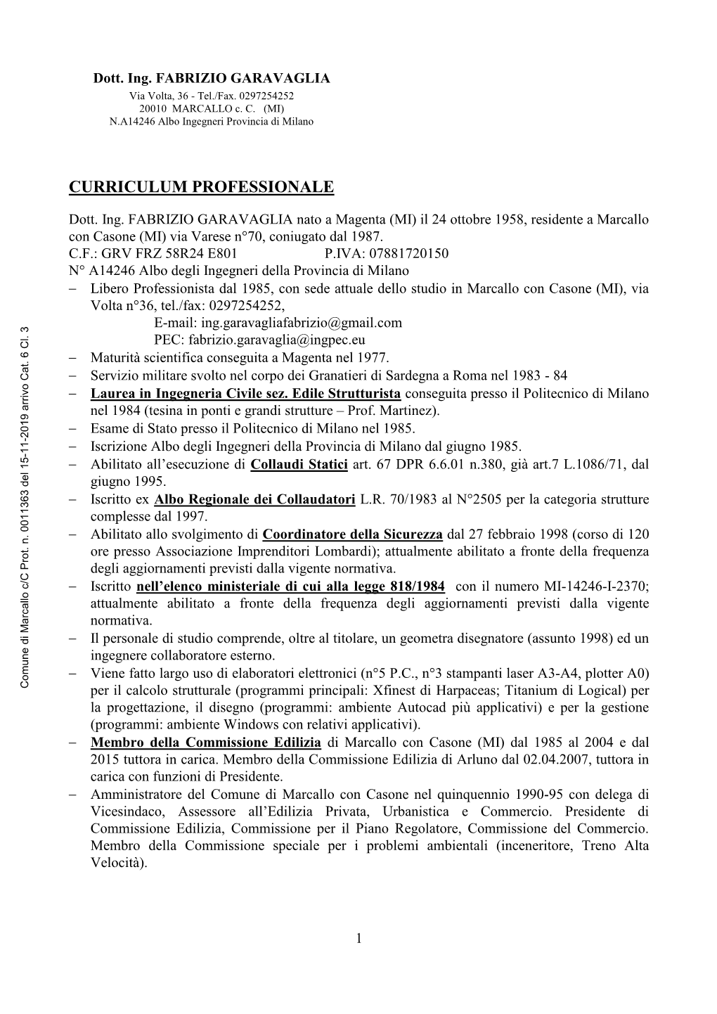 Curriculum Professionale