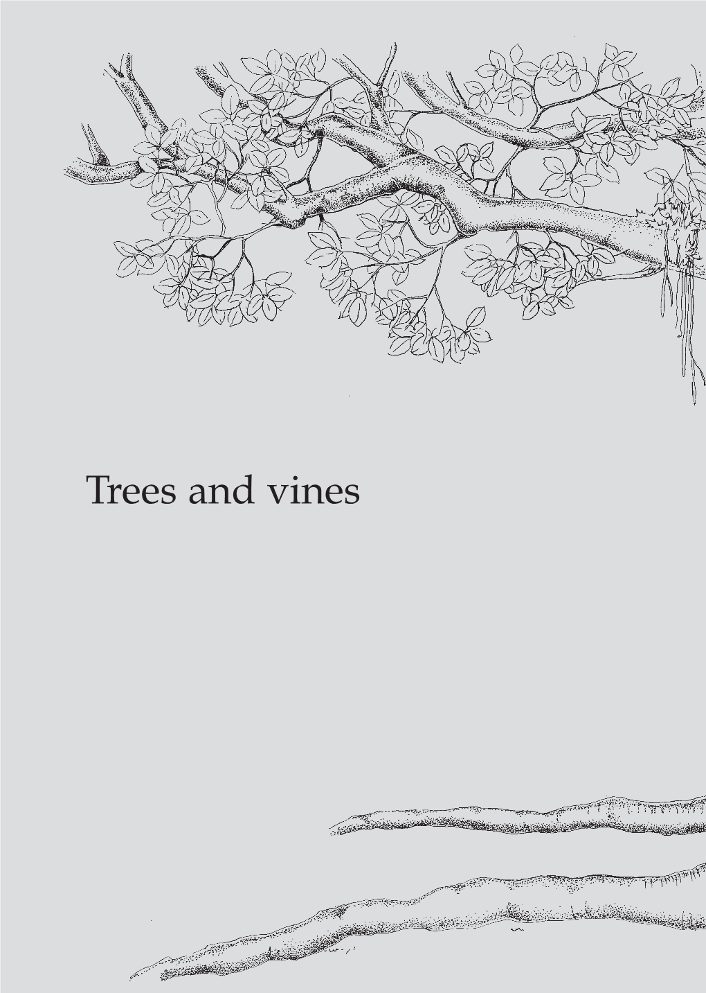 Trees and Vines