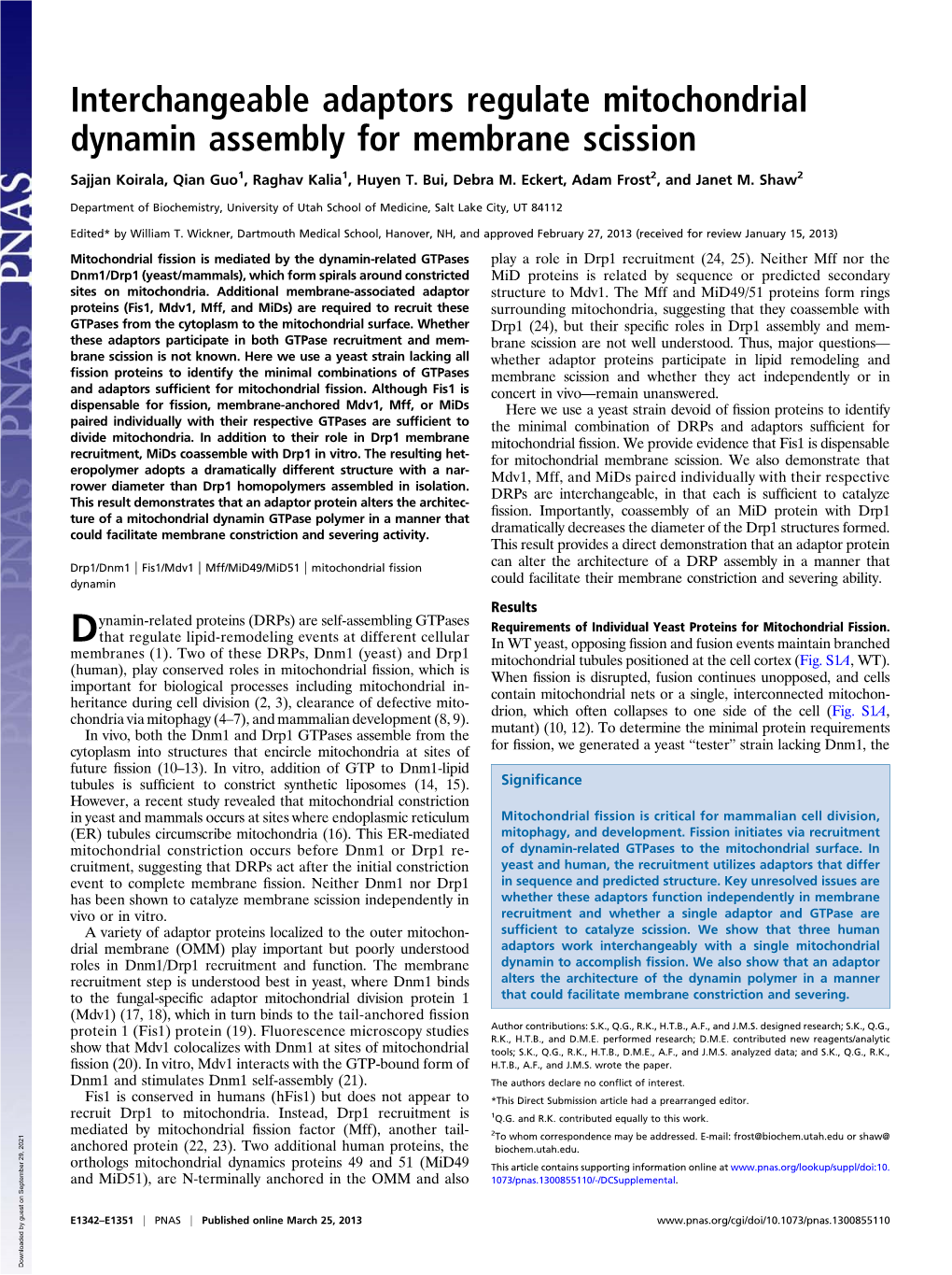 Interchangeable Adaptors Regulate Mitochondrial Dynamin Assembly for Membrane Scission