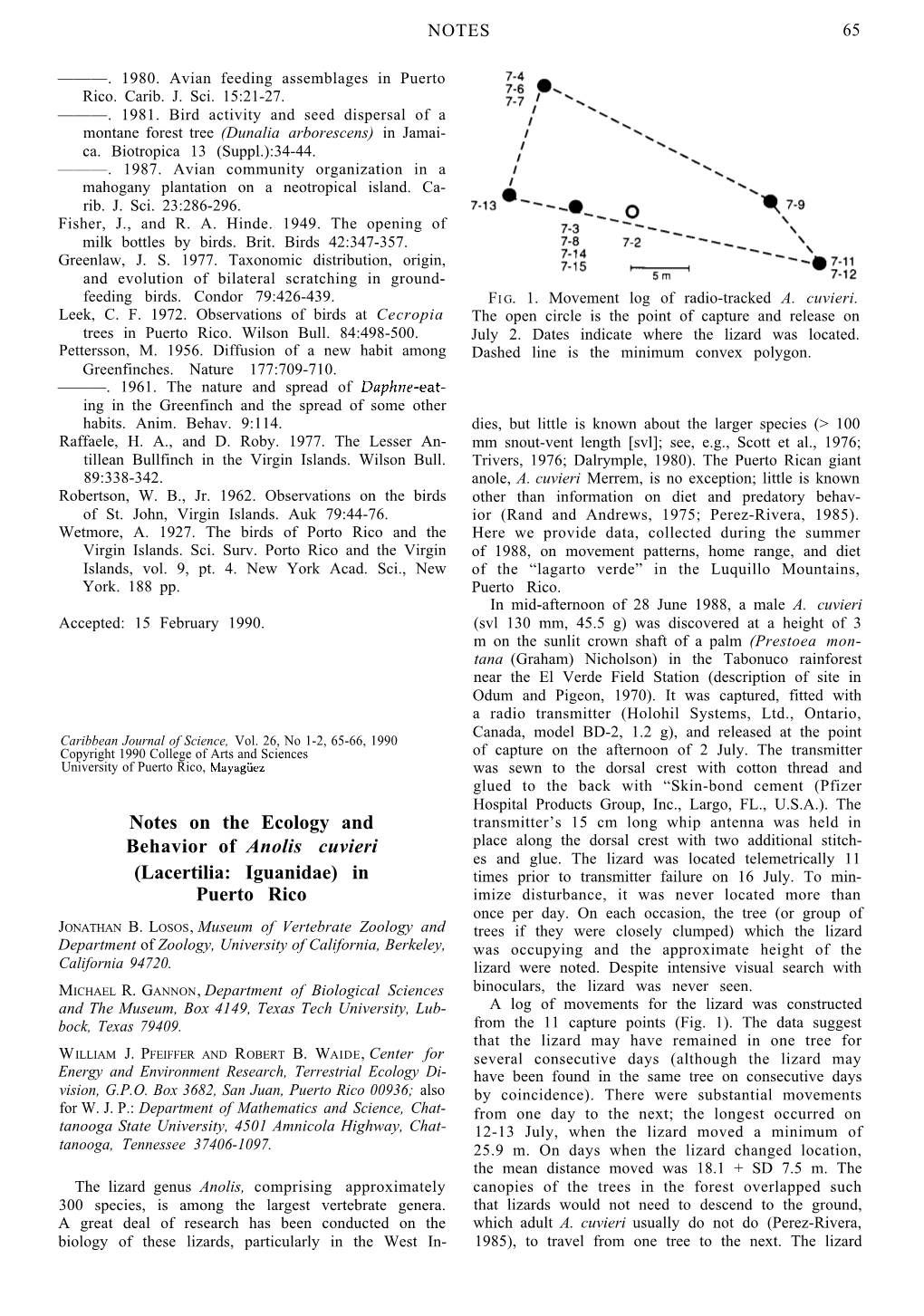 Notes on the Ecology and Behavior of Anolis Cuvieri (Lacertilia: Iguanidae