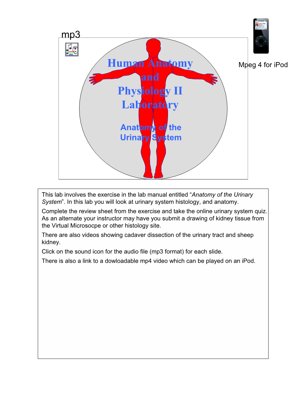 Human Anatomy and Physiology II Laboratory