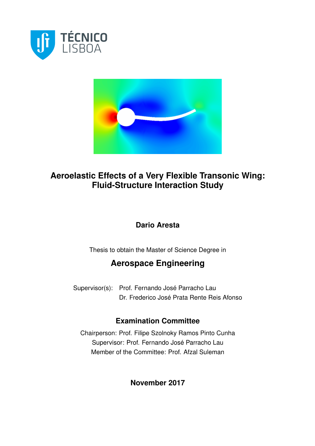 Fluid-Structure Interaction Study Aerospace Engineering