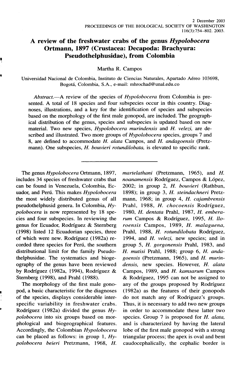 (Hypolobocera) Bouvieri May 1957, Leg