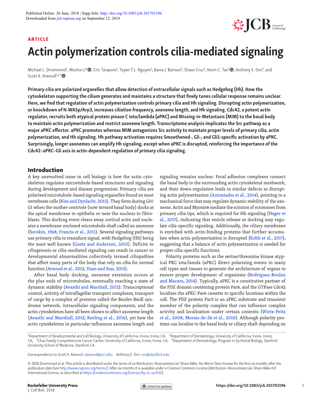 Actin Polymerization Controls Cilia-Mediated Signaling