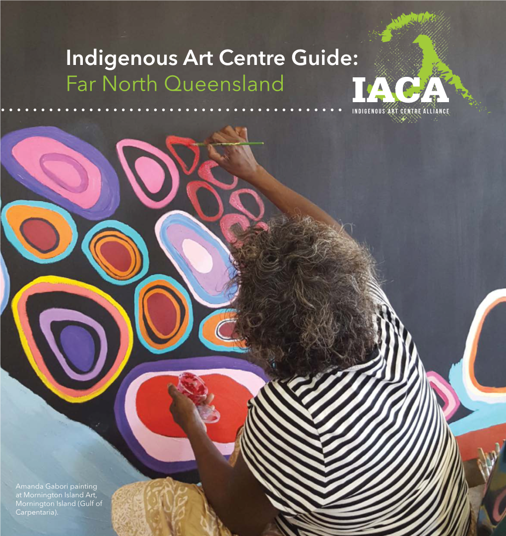 Indigenous Art Centre Guide: Far North Queensland