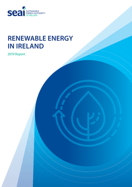 RENEWABLE ENERGY in IRELAND 2019 Report