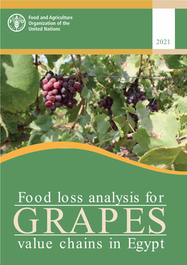 Food Loss Analysis for GRAPES Value Chains in Egypt