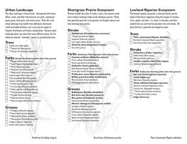 Plant Checklist These Details May Help You Identify It