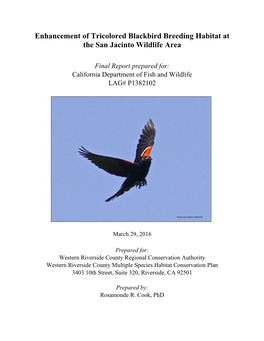 Enhancement of Tricolored Blackbird Breeding Habitat at the San Jacinto Wildlife Area