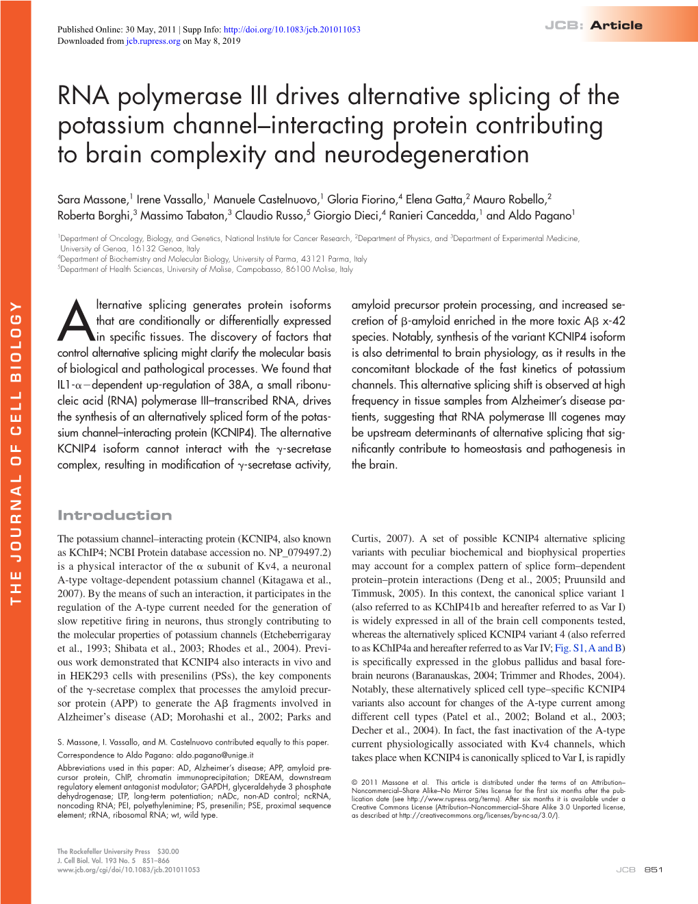 RNA Polymerase III Drives Alternative Splicing of the Potassium Channel–Interacting Protein Contributing to Brain Complexity and Neurodegeneration