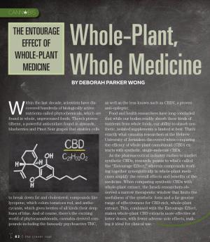 The Entourage Effect of Whole-Plant Medicine