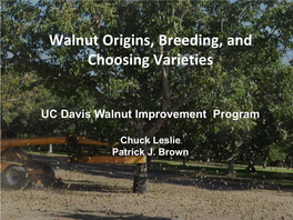 Walnut Origins, Breeding, and Choosing Varieties