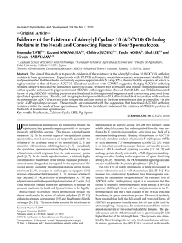 Evidence of the Existence of Adenylyl Cyclase 10 (ADCY10) Ortholog