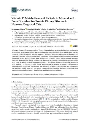 Vitamin D Metabolism and Its Role in Mineral and Bone Disorders in Chronic Kidney Disease in Humans, Dogs and Cats