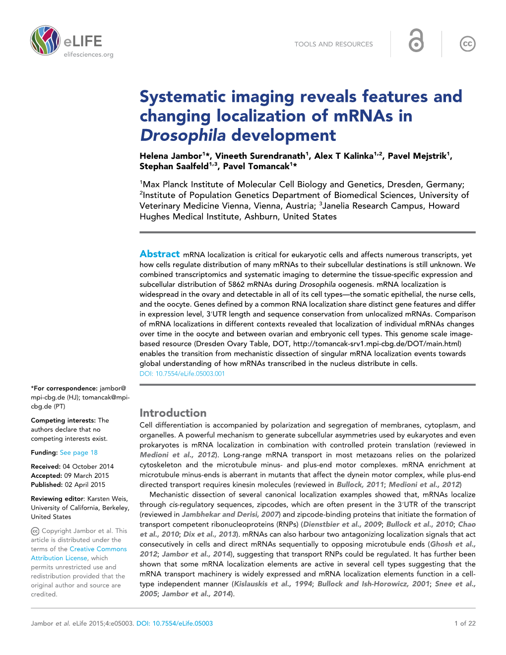 Systematic Imaging Reveals Features and Changing Localization Of