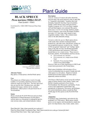 BLACK SPRUCE General: Trees to 25 Meters Tall (Often Shrub-Like Near Tree-Line), the Crown Narrowly Conic to Spire-Like Picea Mariana (Miller) B.S.P
