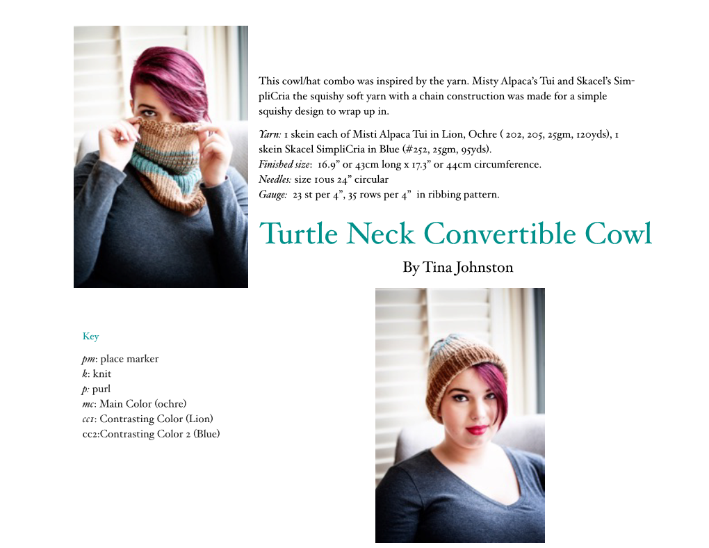 Turtle Neck Convertable Cowl