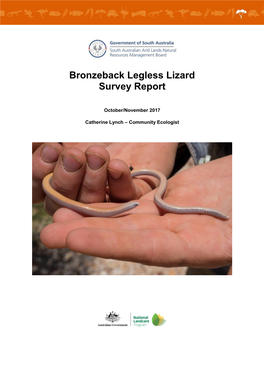 Bronzeback Legless Lizard Survey Report