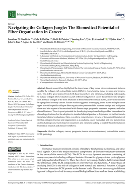 The Biomedical Potential of Fiber Organization in Cancer