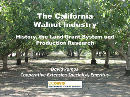 The California Walnut Industry