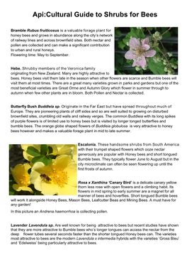 Api:Cultural Guide to Shrubs for Bees