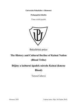 Bakalářská Práce the History and Cultural Decline Of