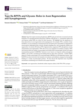 Roles in Axon Regeneration and Synaptogenesis