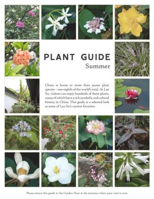 Summer Plant Guide