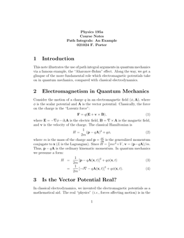 1 Introduction 2 Electromagnetism in Quantum Mechanics 3 Is the Vector