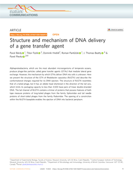 Structure and Mechanism of DNA Delivery of a Gene Transfer Agent