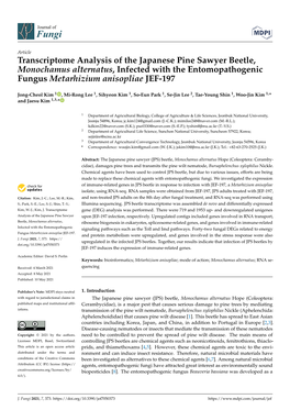 Transcriptome Analysis of the Japanese Pine Sawyer Beetle, Monochamus Alternatus, Infected with the Entomopathogenic Fungus Metarhizium Anisopliae JEF-197