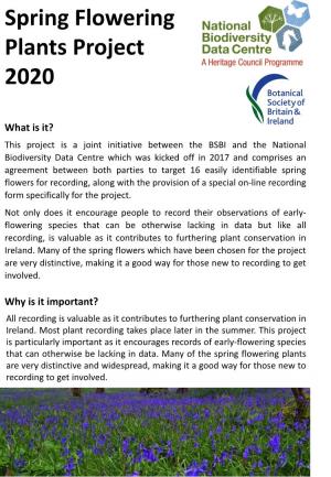 Spring Flowering Plants Project 2020