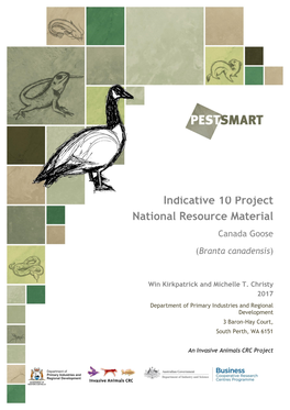 Indicative 10 Project National Resource Material Canada Goose (Branta Canadensis)