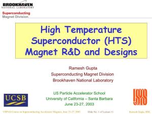 High Temperature Superconductor (HTS) Magnet R&D and Designs