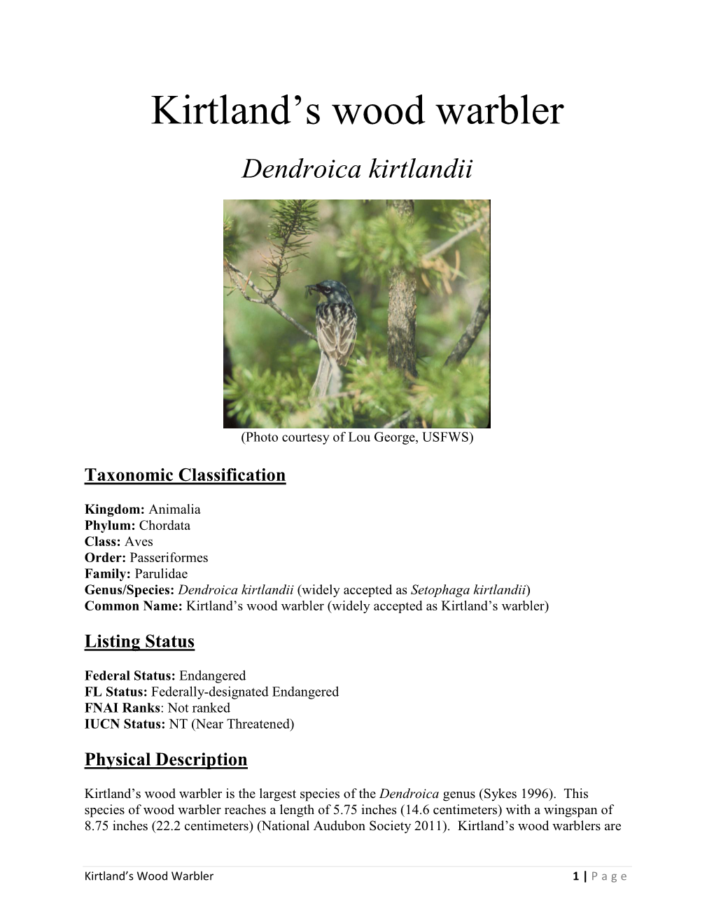 Kirtland's Wood Warbler