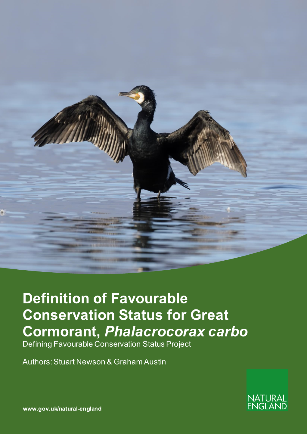 Definition of Favourable Conservation Status for Great Cormorant