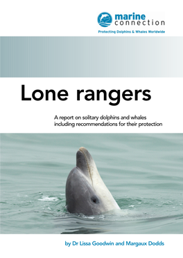 By Dr Lissa Goodwin and Margaux Dodds a Report on Solitary Dolphins