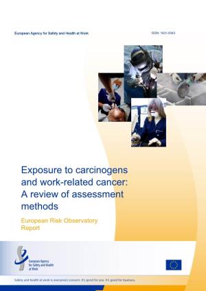 Exposure to Carcinogens and Work-Related Cancer: a Review of Assessment Methods