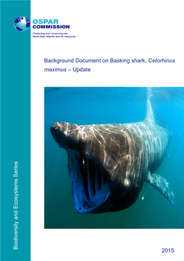 Background Document on Basking Shark – Cetorhinus Maximus – Update